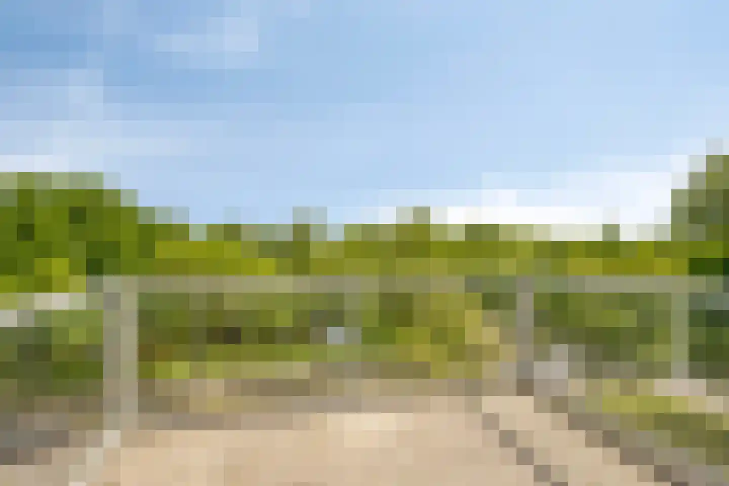 Henri Dunantsingel 228 Castricum thumbnail 12