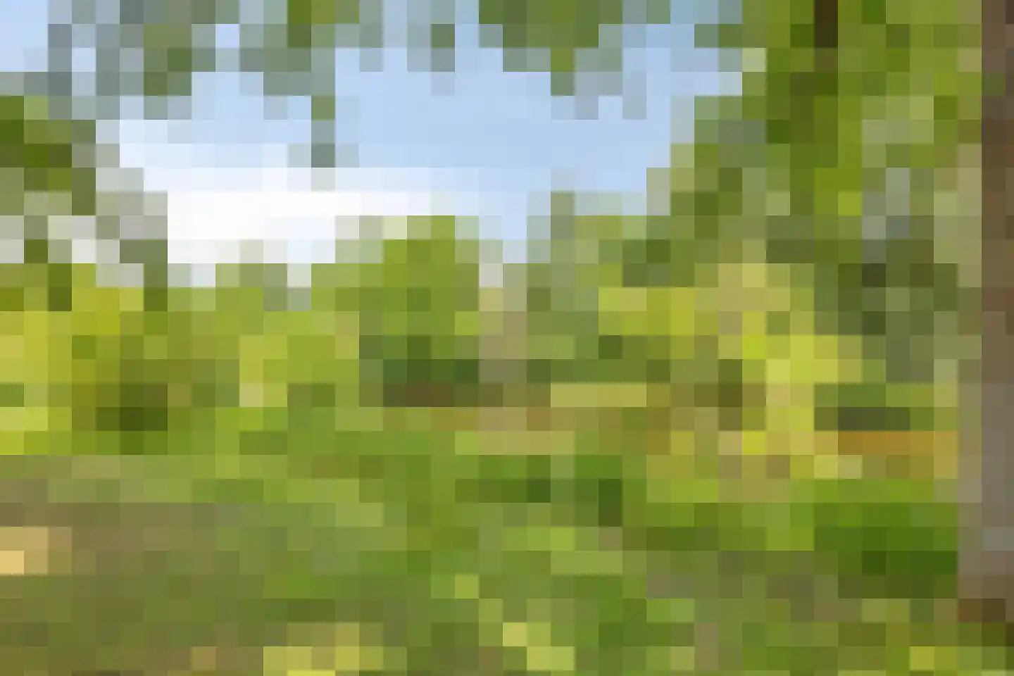 Henri Dunantsingel 228 Castricum thumbnail 34