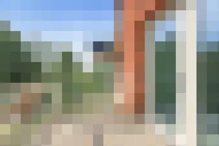 Henri Dunantsingel 230 Castricum thumbnail 6