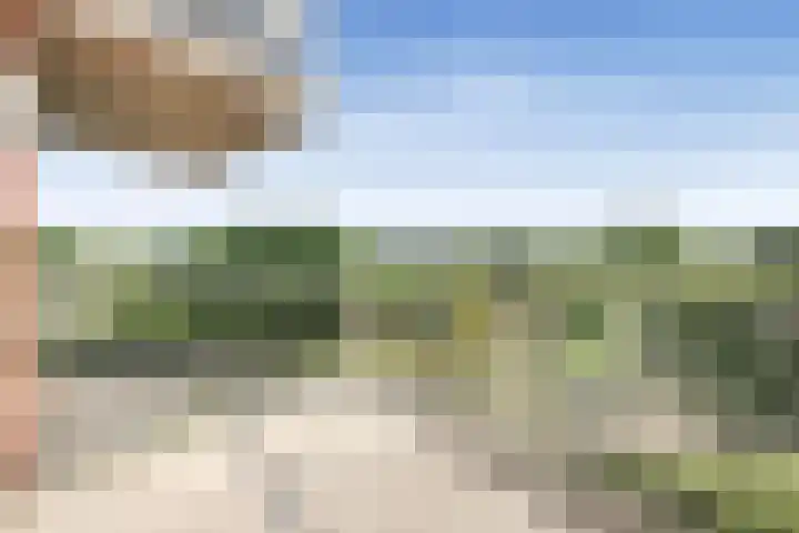 Henri Dunantsingel 230 Castricum thumbnail 7