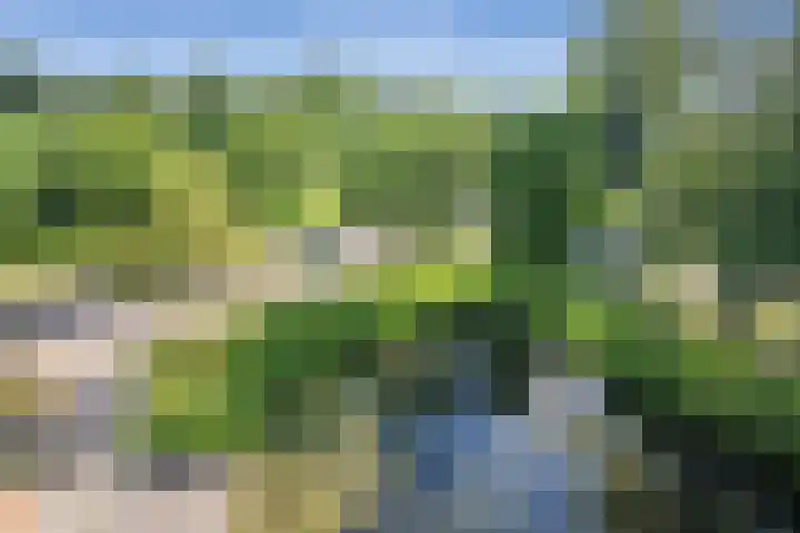 Henri Dunantsingel 230 Castricum thumbnail 8
