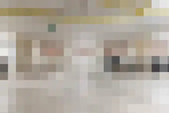 Henri Dunantsingel 244 Castricum thumbnail 25