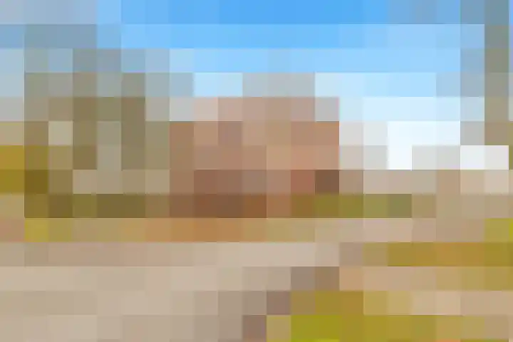 Henri Dunantsingel 244 Castricum thumbnail 30