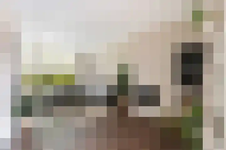 Henri Dunantsingel 36 Papendrecht thumbnail 9