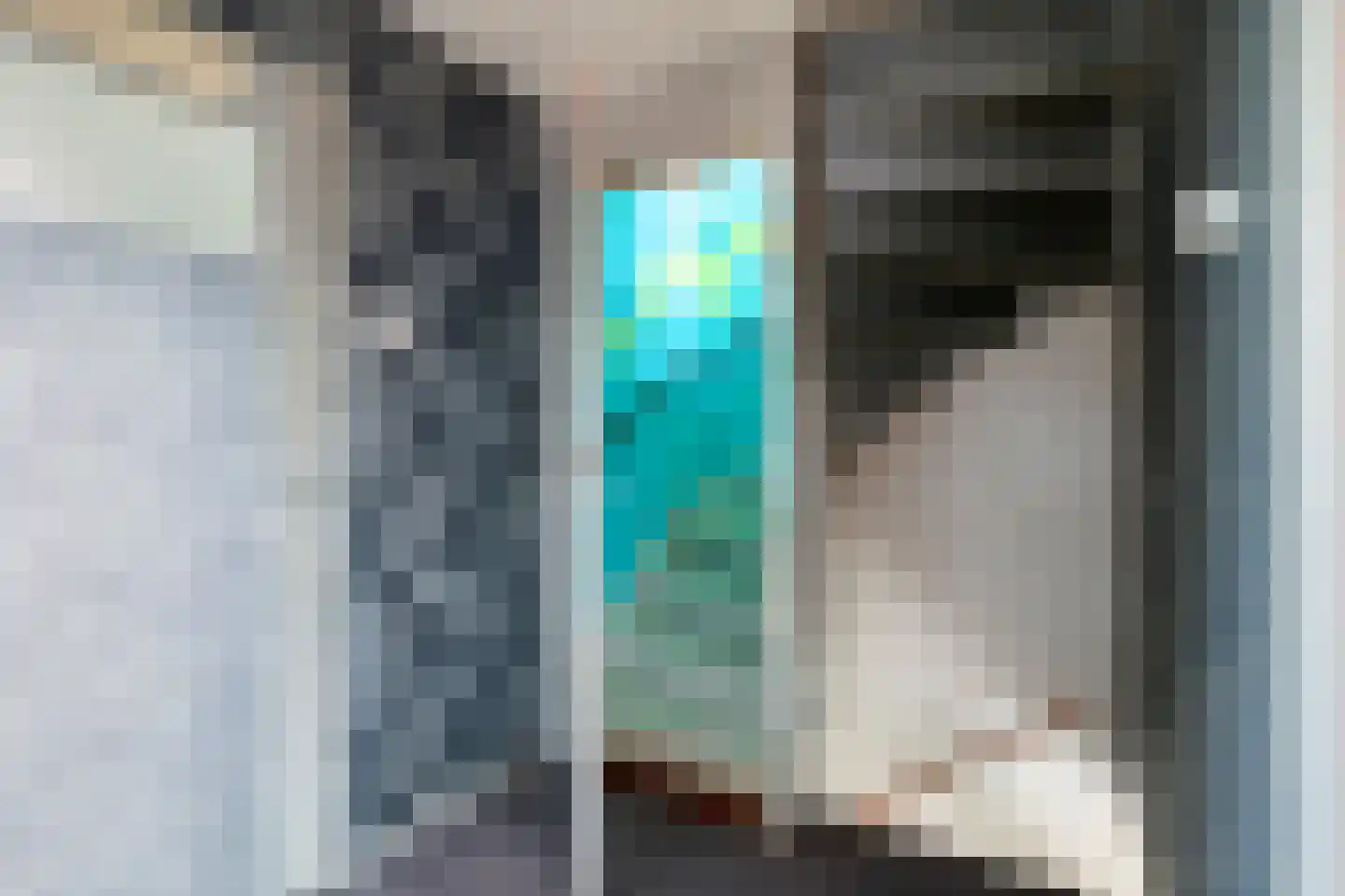Henri Dunantstraat 10 Purmerend thumbnail 21