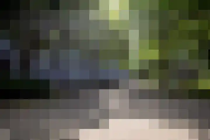 Henri Dunantstraat 11 Brunssum thumbnail 21