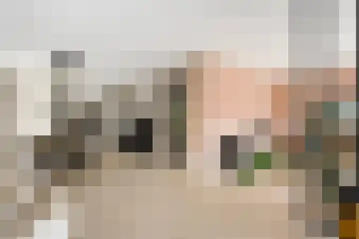 Henri Dunantstraat 11 Dalfsen thumbnail 13