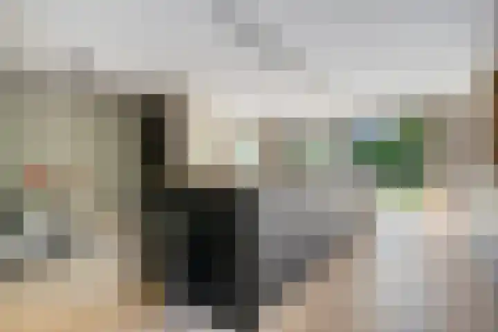 Henri Dunantstraat 11 Dalfsen thumbnail 20