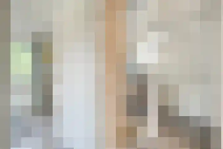 Henri Dunantstraat 11 Dalfsen thumbnail 34