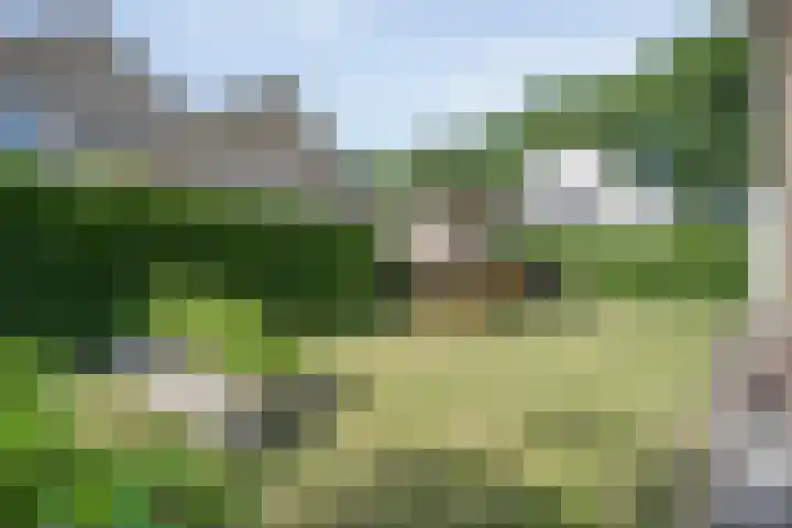 Henri Dunantstraat 11 Dalfsen thumbnail 4