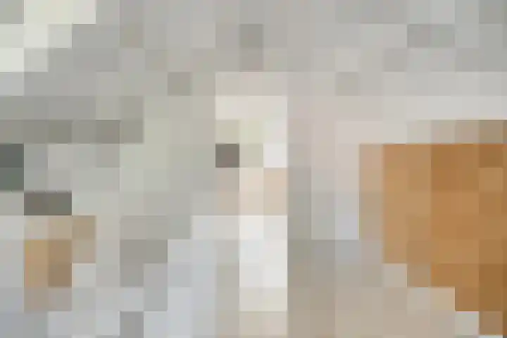 Henri Dunantstraat 11 Dalfsen thumbnail 41