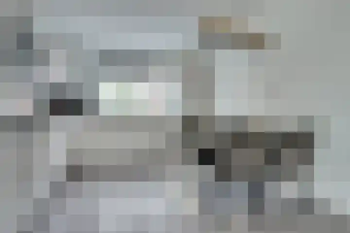Henri Dunantstraat 13 Sint-Maartensdijk thumbnail 8
