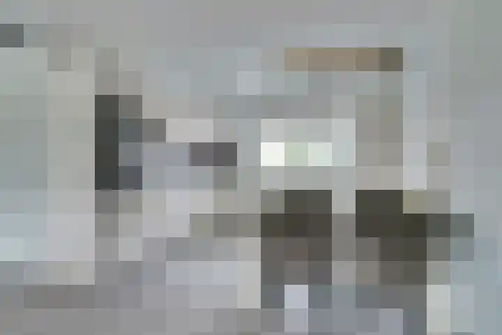 Henri Dunantstraat 13 Sint-Maartensdijk thumbnail 9