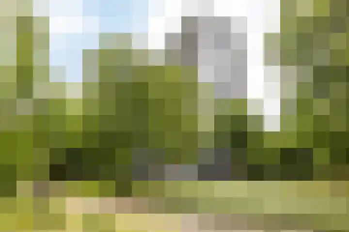 Henri Dunantstraat 149 Brunssum thumbnail 23