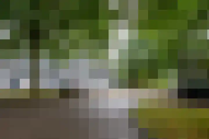 Henri Dunantstraat 171 Brunssum thumbnail 21