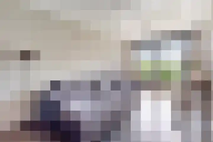 Henri Dunantstraat 18 Veenendaal thumbnail 17
