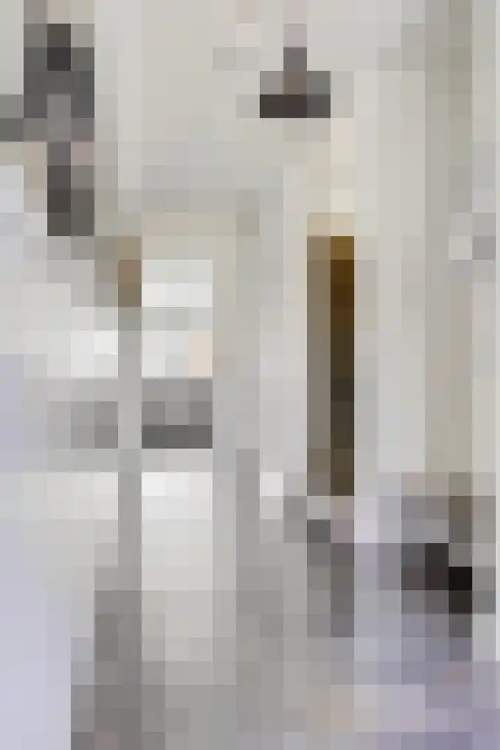 Henri Dunantstraat 18 Veenendaal thumbnail 9