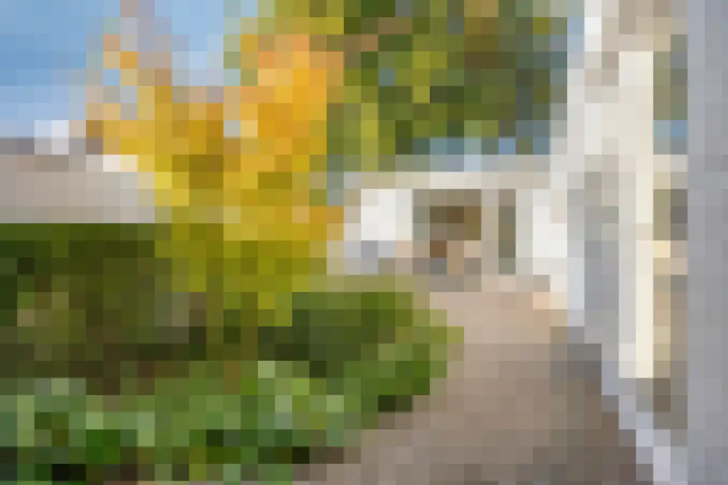Henri Dunantstraat 21 Goirle thumbnail 30