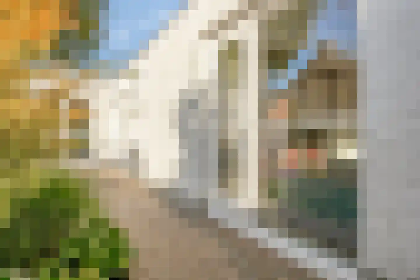 Henri Dunantstraat 21 Goirle thumbnail 34