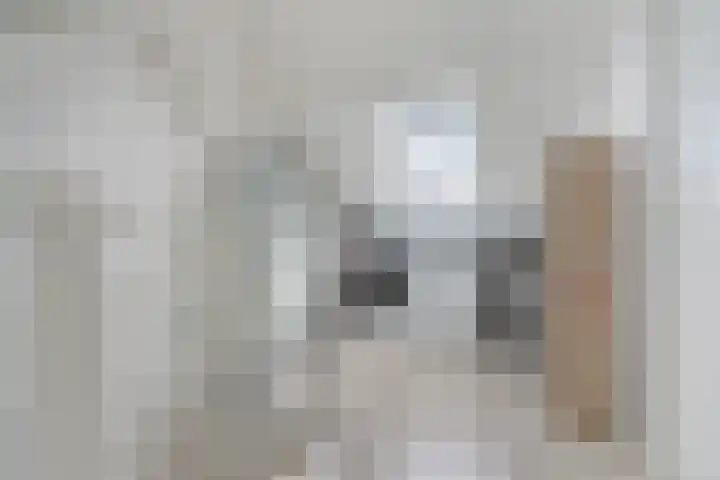 Henri Dunantstraat 21 Oost-Souburg thumbnail 23