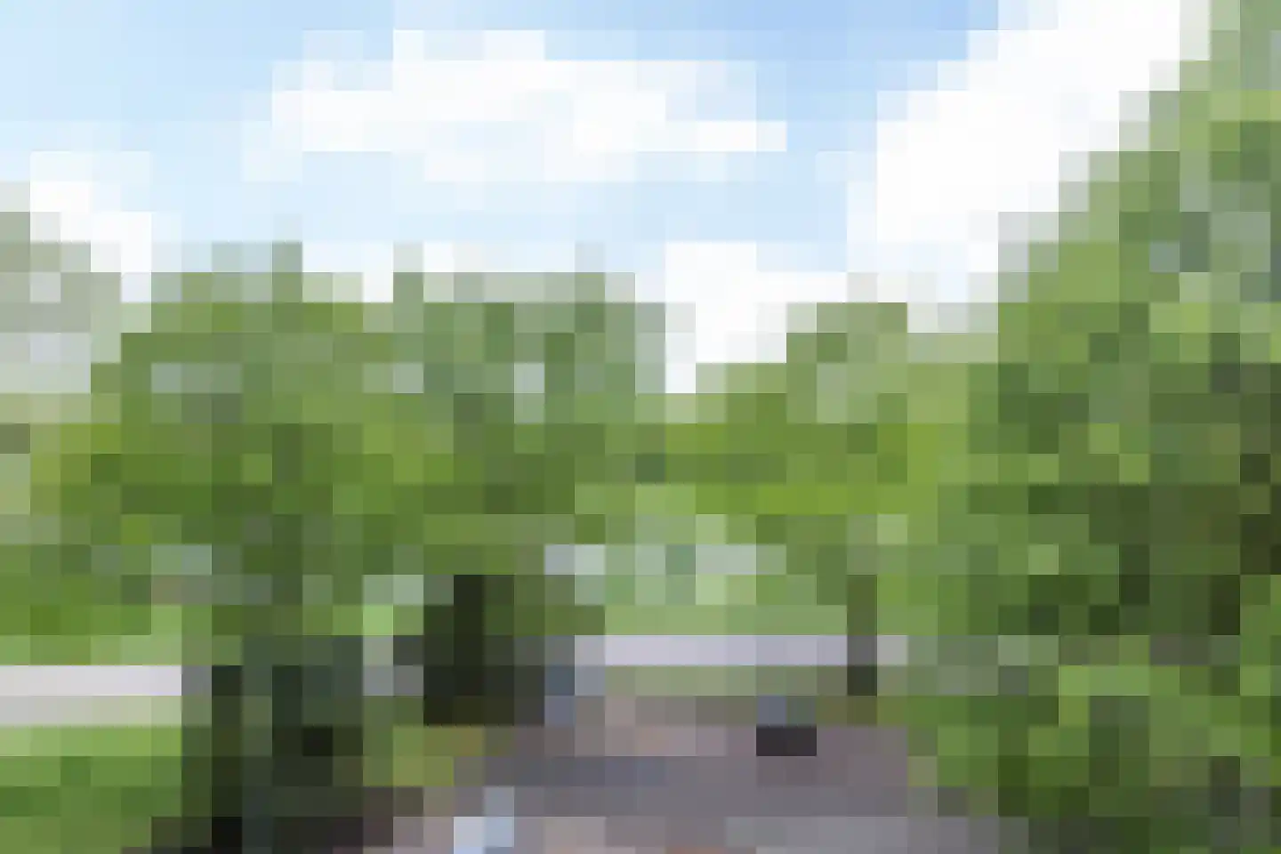 Henri Dunantstraat 217 Brunssum thumbnail 24