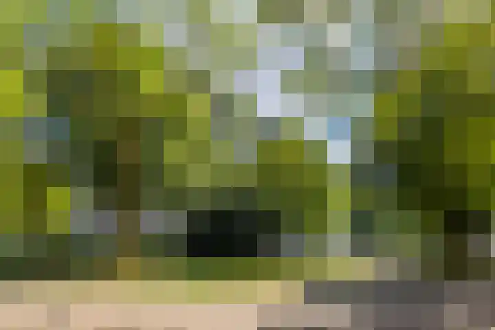 Henri Dunantstraat 217 Brunssum thumbnail 30