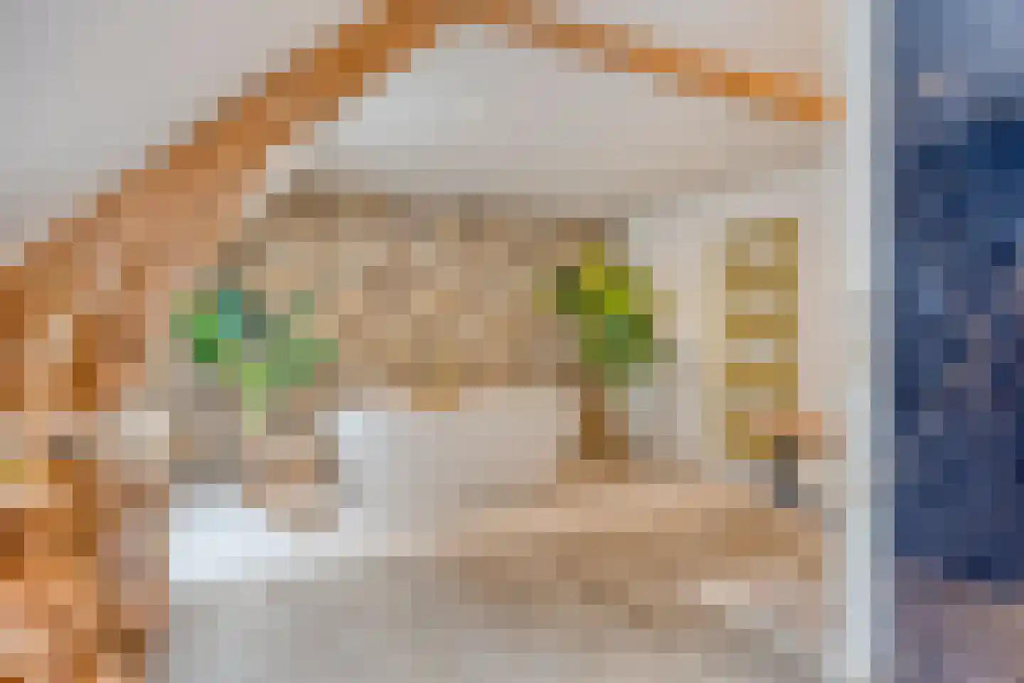 Henri Dunantstraat 24 Oosterhout thumbnail 30