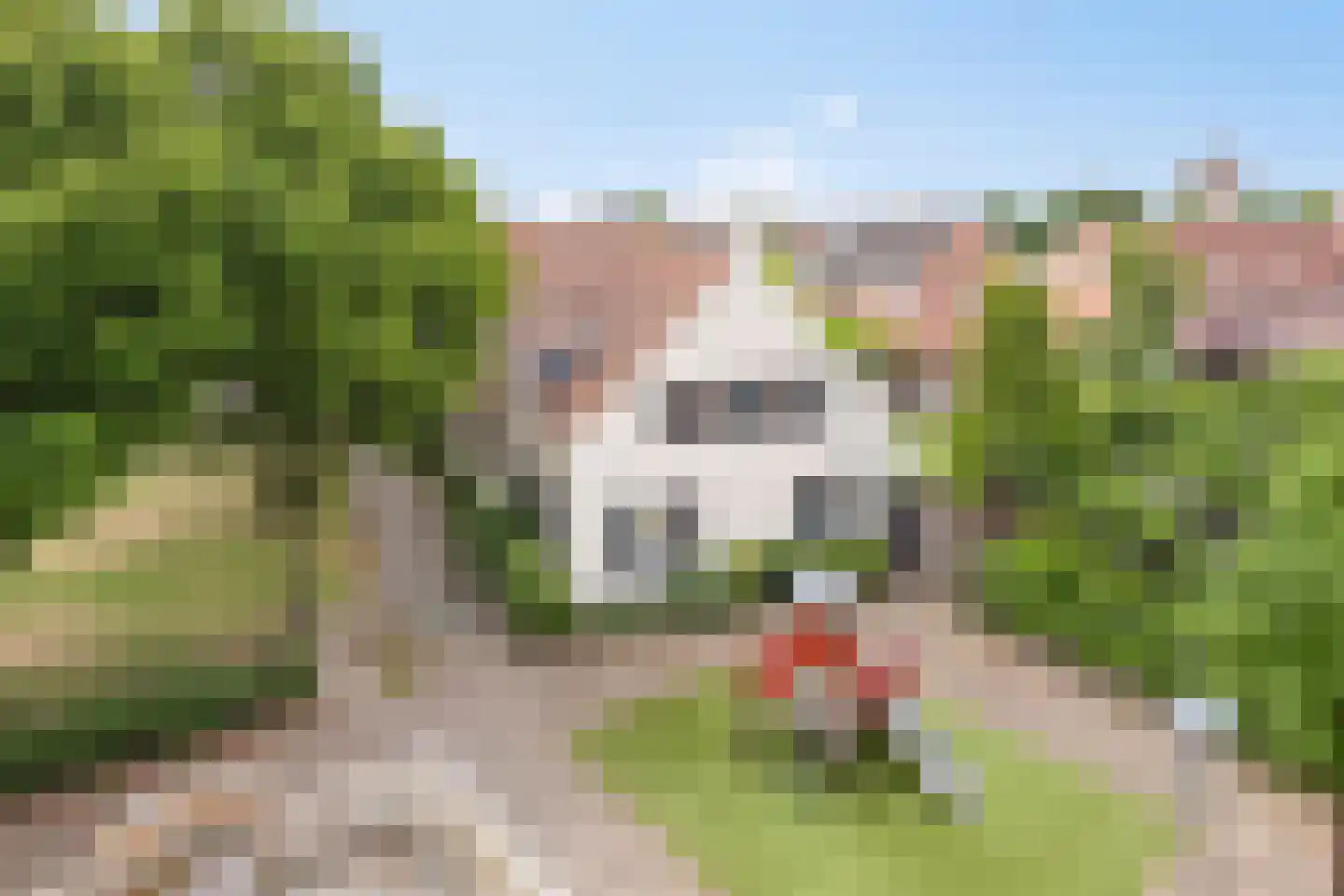 Henri Dunantstraat 24 Oosterhout thumbnail 64