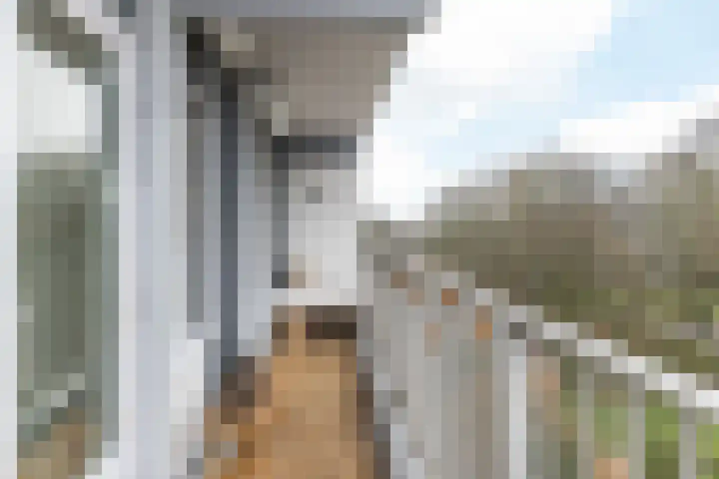 Henri Dunantstraat 249 Brunssum thumbnail 37