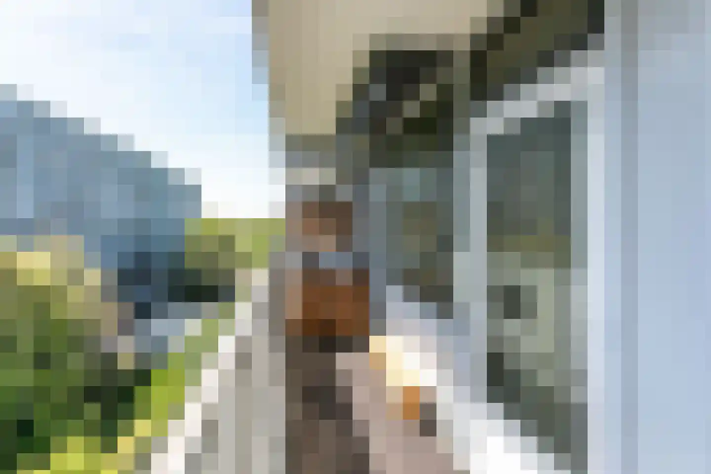 Henri Dunantstraat 275 Brunssum thumbnail 28