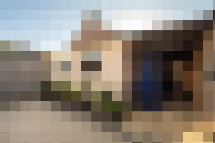 Henri Dunantstraat 3 Huijbergen thumbnail 35