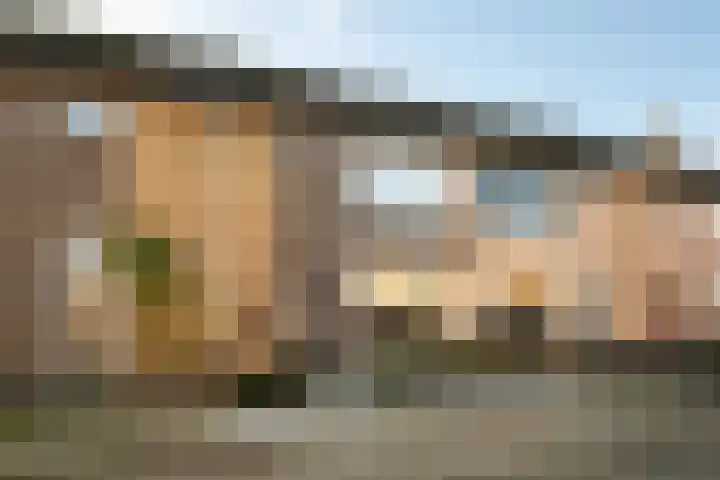 Henri Dunantstraat 3 Huijbergen thumbnail 36
