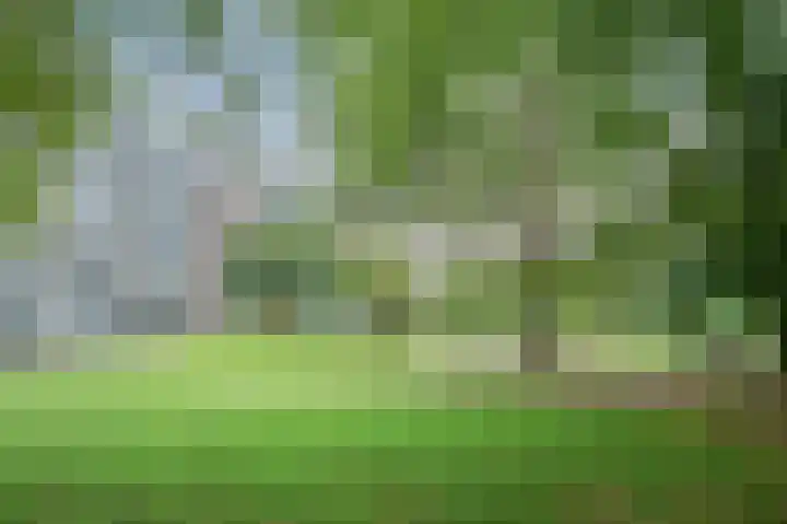 Henri Dunantstraat 303 Brunssum thumbnail 30