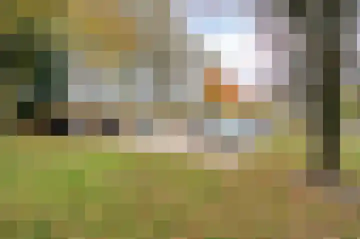 Henri Dunantstraat 303 Brunssum thumbnail 4
