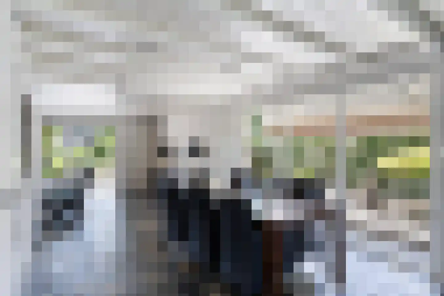 Henri Dunantstraat 31 Dalfsen thumbnail 10