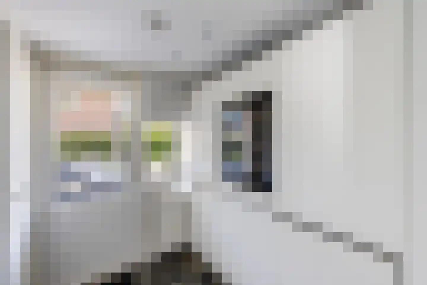 Henri Dunantstraat 31 Dalfsen thumbnail 13