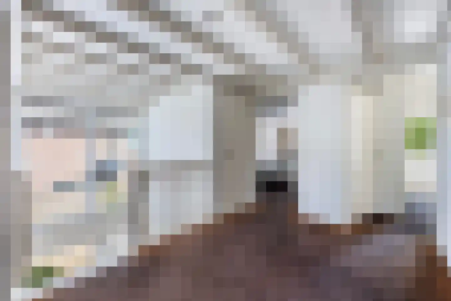 Henri Dunantstraat 31 Dalfsen thumbnail 16