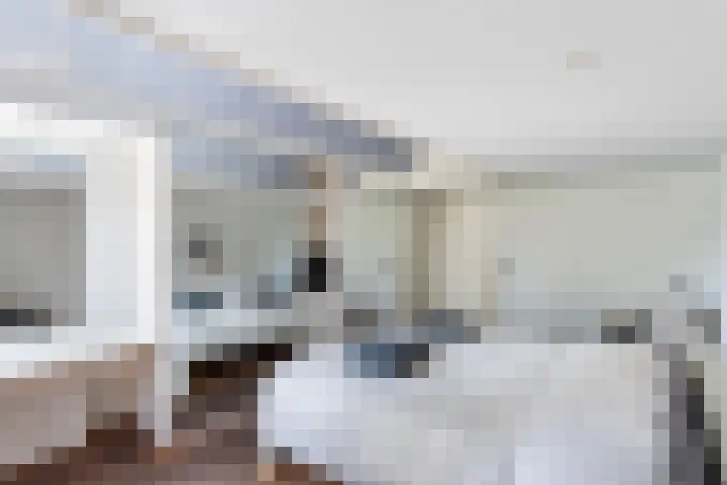 Henri Dunantstraat 31 Dalfsen thumbnail 18
