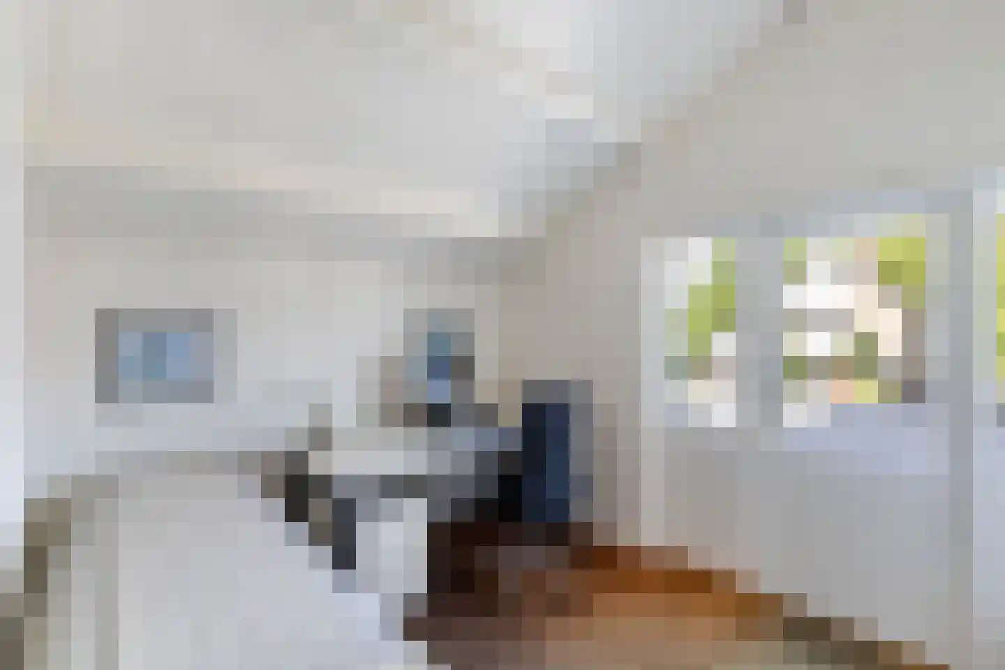 Henri Dunantstraat 31 Dalfsen thumbnail 23
