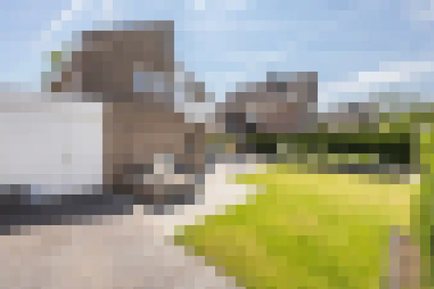 Henri Dunantstraat 31 Dalfsen thumbnail 29