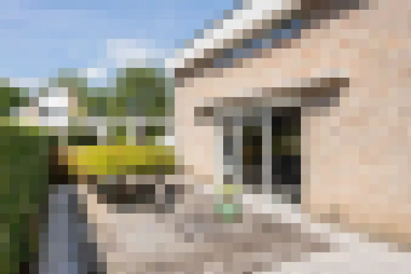Henri Dunantstraat 31 Dalfsen thumbnail 30