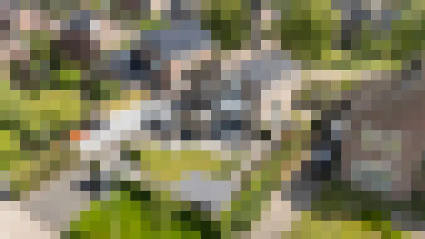 Henri Dunantstraat 31 Dalfsen thumbnail 33