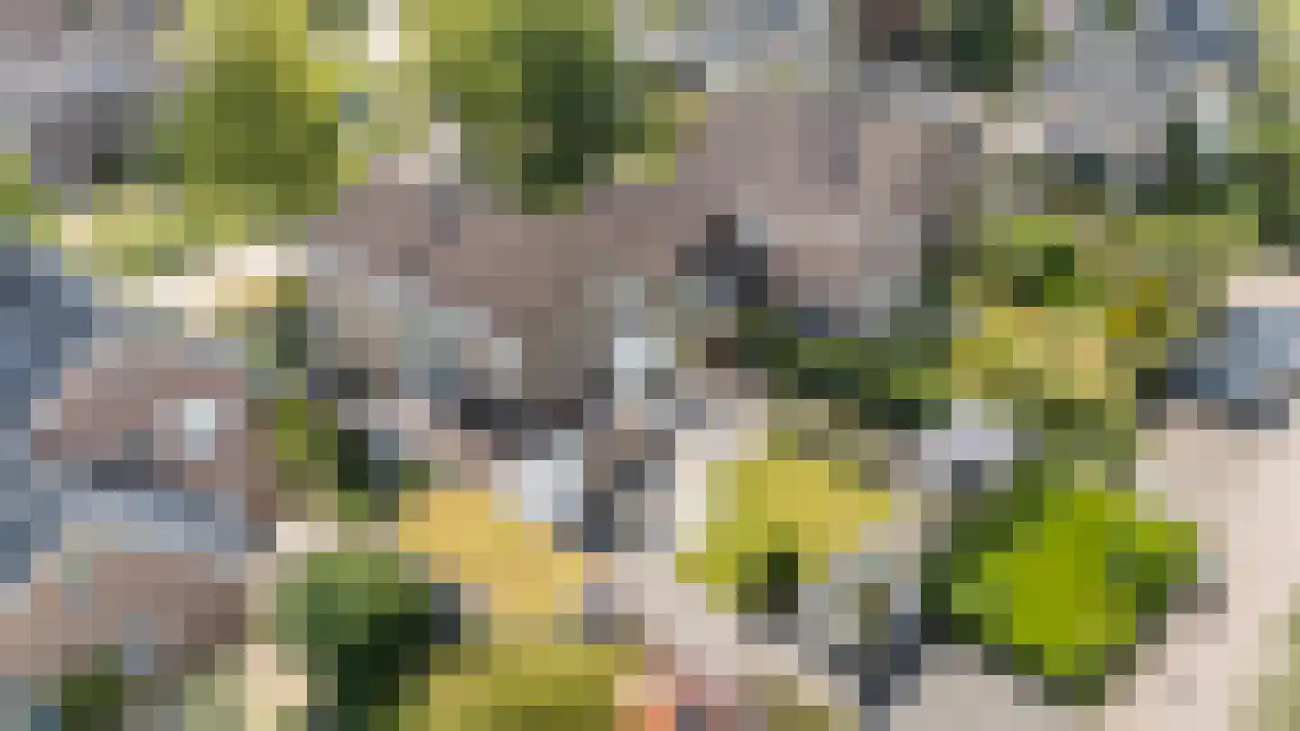Henri Dunantstraat 31 Dalfsen thumbnail 34
