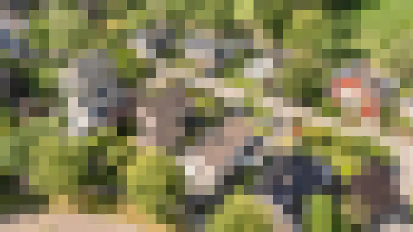 Henri Dunantstraat 31 Dalfsen thumbnail 35