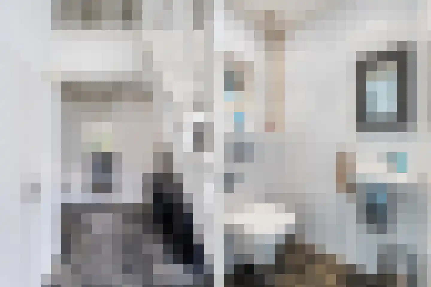 Henri Dunantstraat 31 Dalfsen thumbnail 4