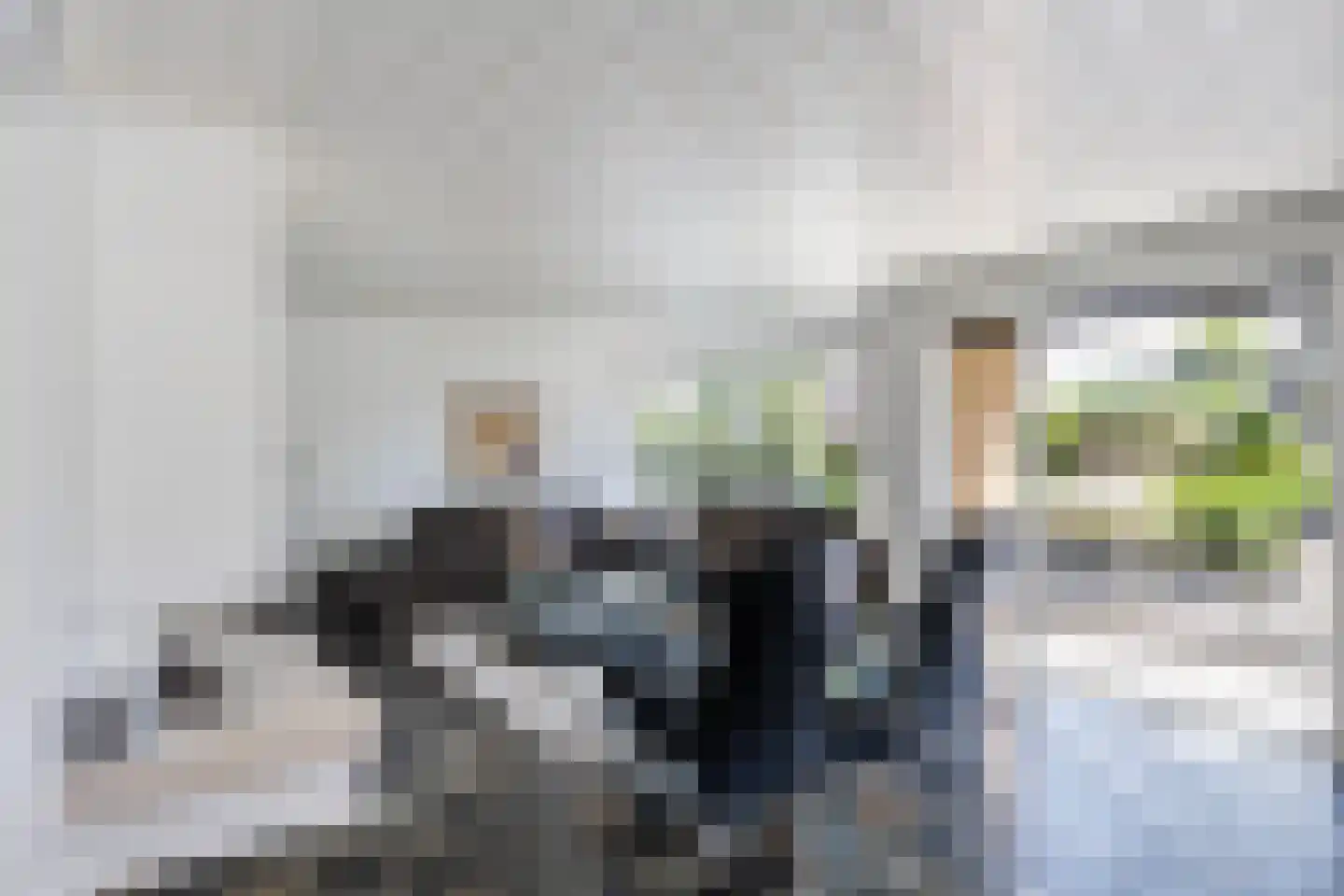 Henri Dunantstraat 31 Dalfsen thumbnail 6