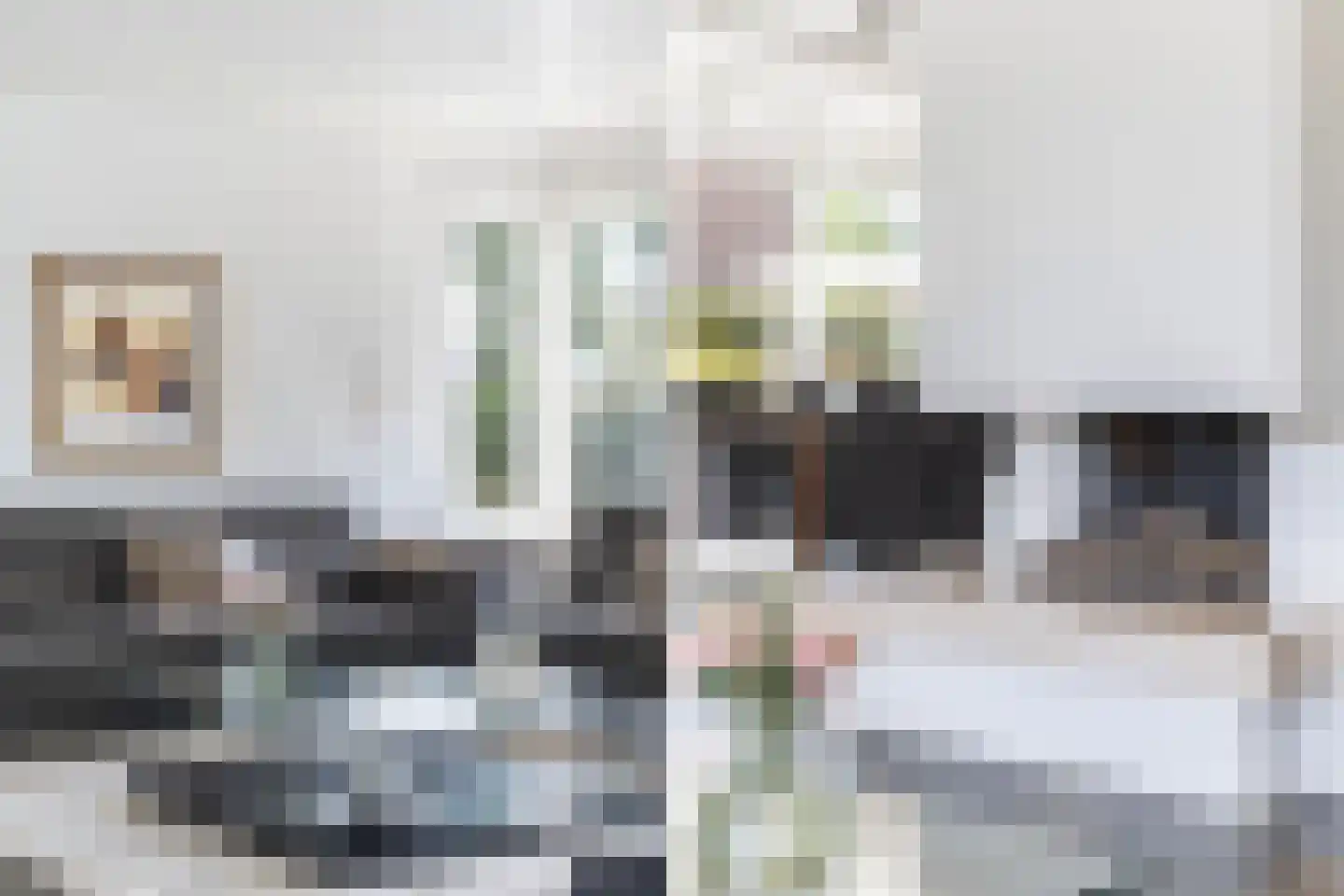 Henri Dunantstraat 31 Dalfsen thumbnail 7