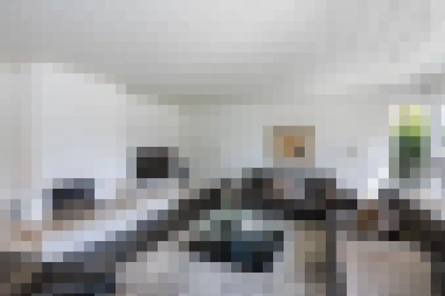 Henri Dunantstraat 31 Dalfsen thumbnail 8