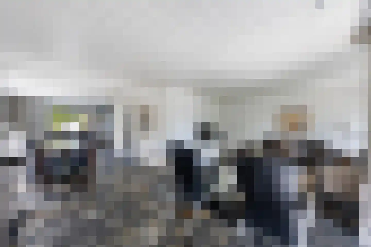 Henri Dunantstraat 31 Dalfsen thumbnail 9
