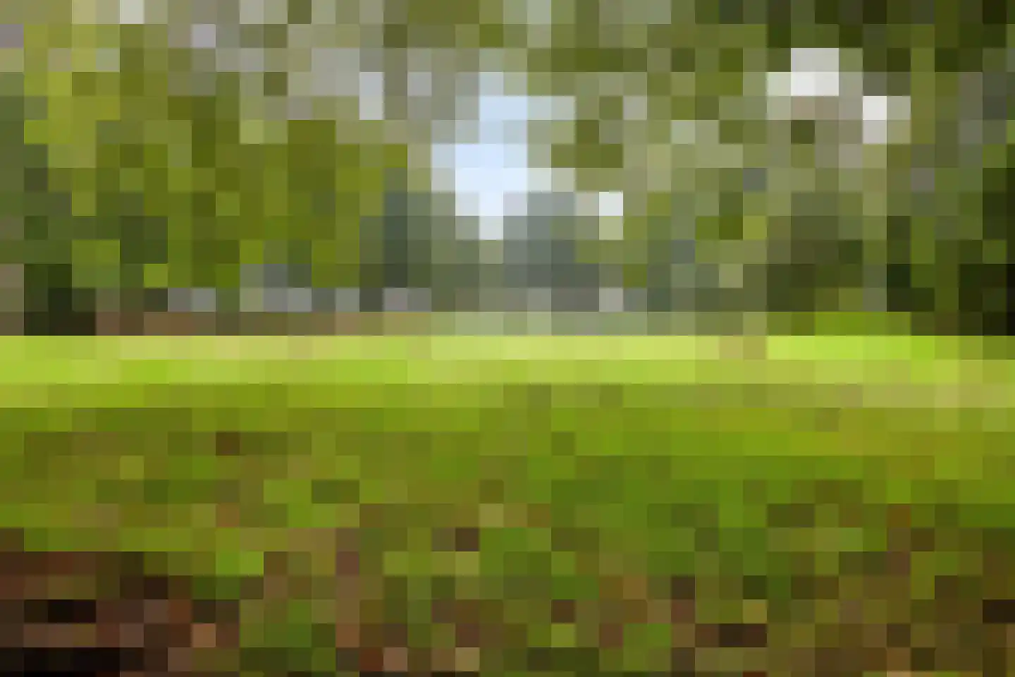 Henri Dunantstraat 329 Brunssum thumbnail 31